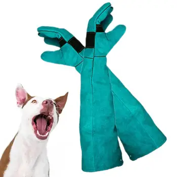 Ръкавици за работа с животните; Дебели и здрави ръкавици за дресура на домашни любимци; мултифункционални водоустойчиви ръкавици за работа с животни