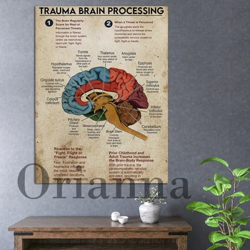 Плакат на платното за нараняване на мозъка, анатомия на мозъка, стенно изкуство, Препоръките на терапевта, боядисани стени, Принт в кабинета на терапевта