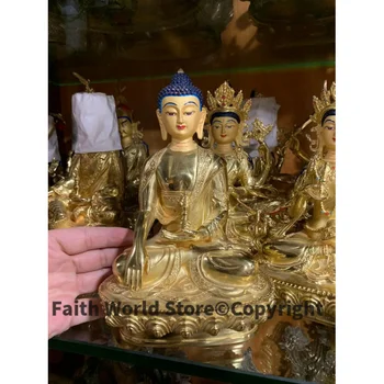 добър да е светец-покровител на КЪЩАТА, ефективна защита талисман-Тибетски тибетски будизъм, позлата, латунная статуя Митукпа Ваджрного на Буда, голяма